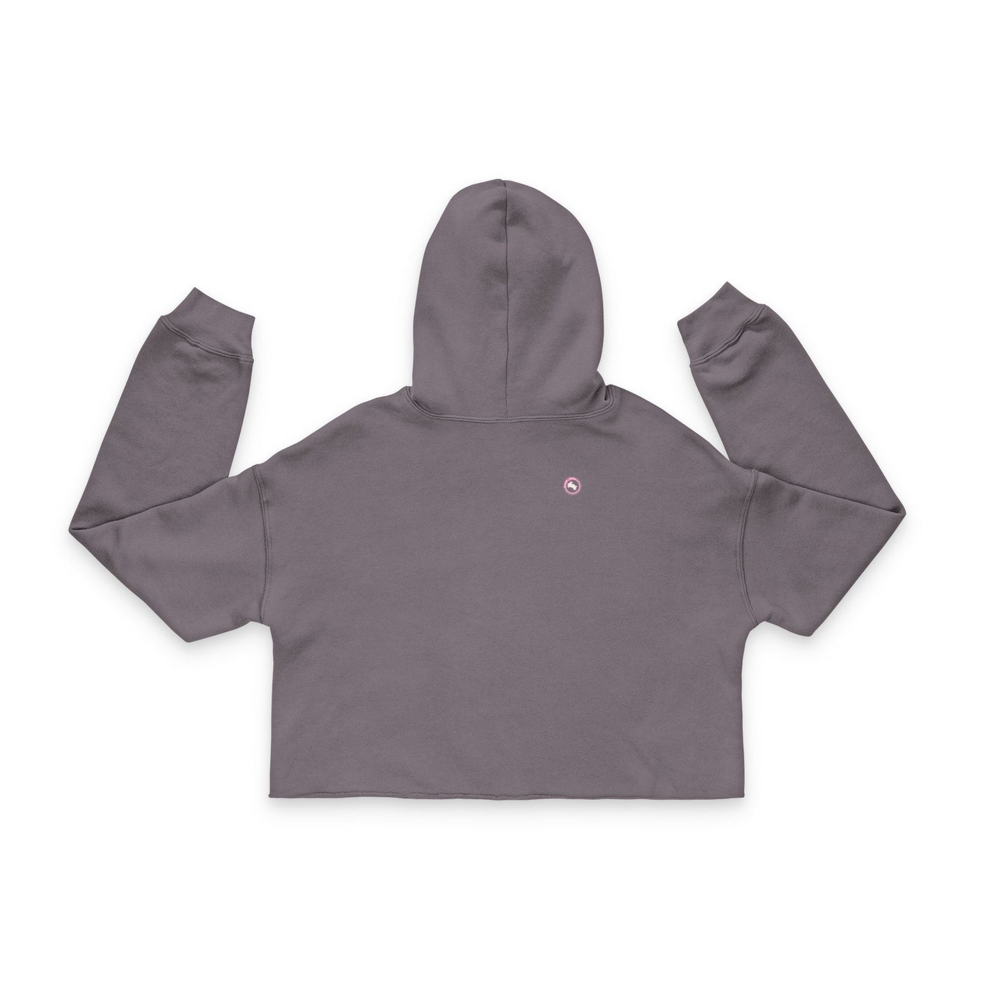 Autism Awareness Cropped Hoodie